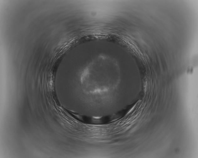 X0000096141298200801251031