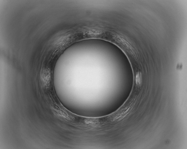 X0000096141299200801251031