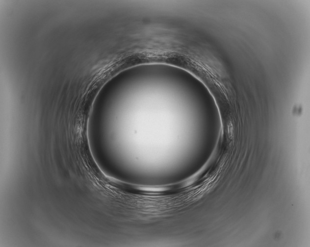 X0000096141300200801251031
