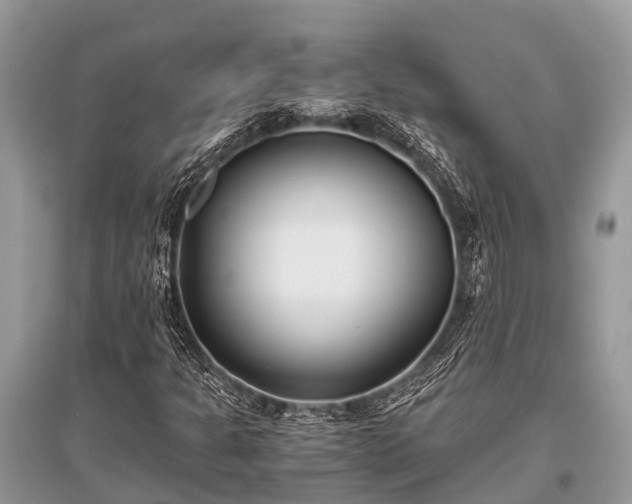 X0000096141301200801251031