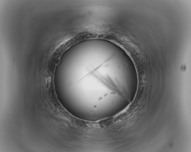 X0000096141302200801251031