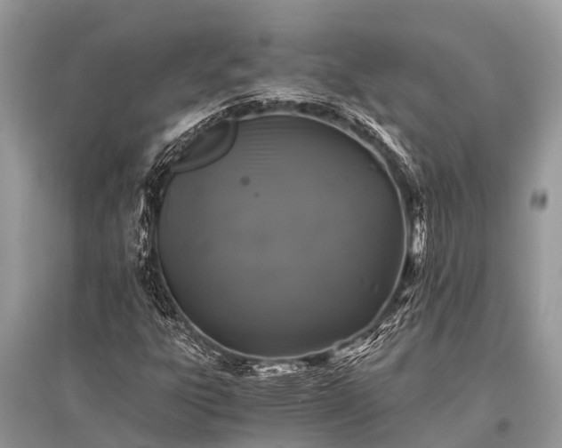 X0000096141303200801251031