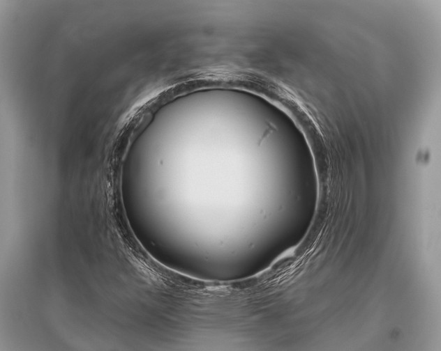 X0000096141304200801251031