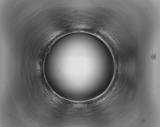 X0000096141305200801251031