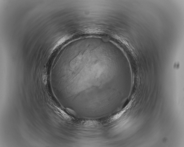 X0000096141306200801251031