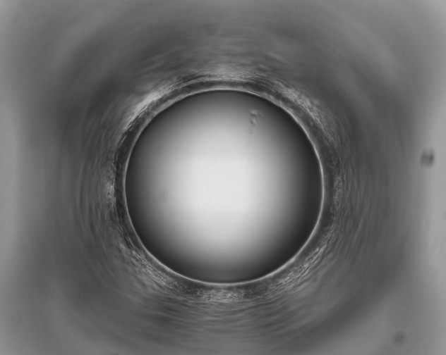 X0000096141307200801251031