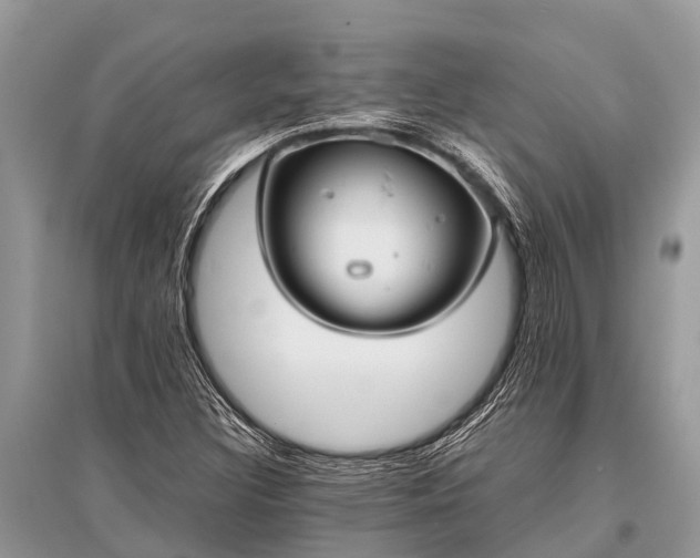 X0000096141308200801251031
