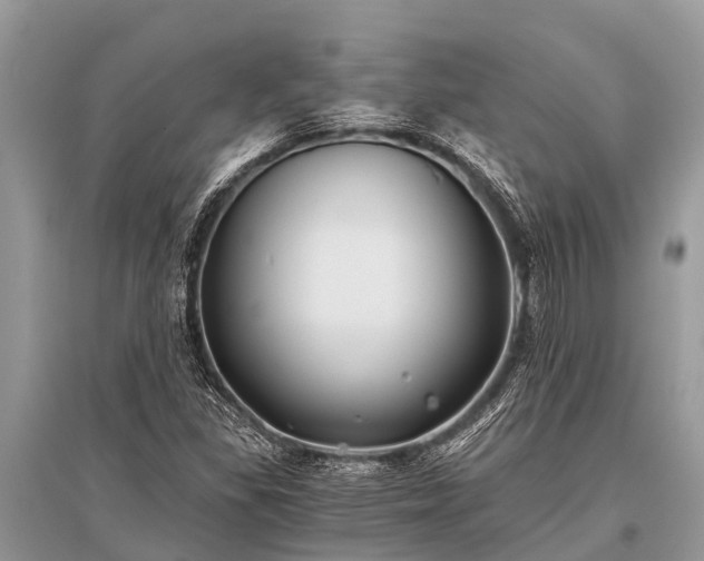 X0000096141309200801251031