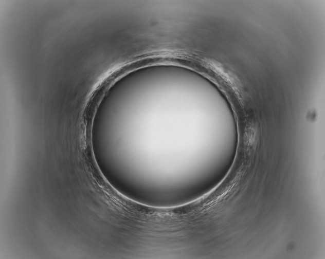 X0000096141310200801251031