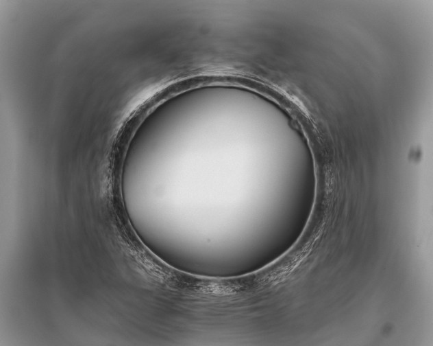 X0000096141311200801251031