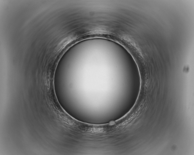 X0000096141313200801251031