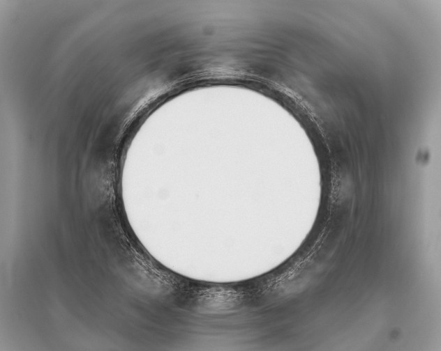 X0000096141314200801251031