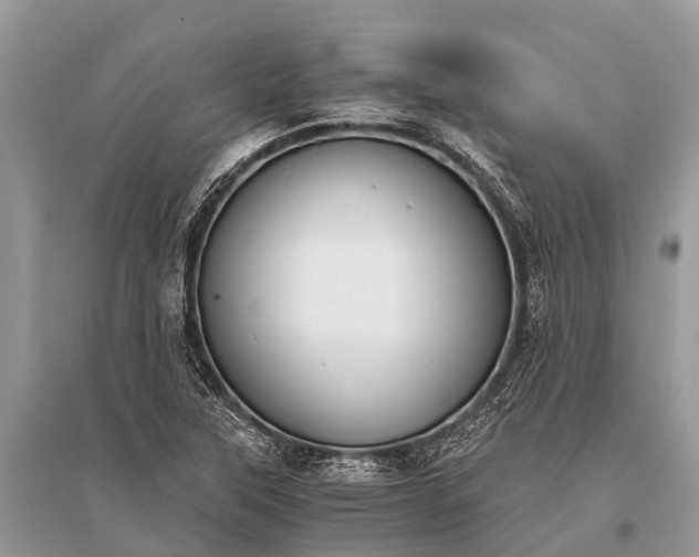 X0000096141315200801251031
