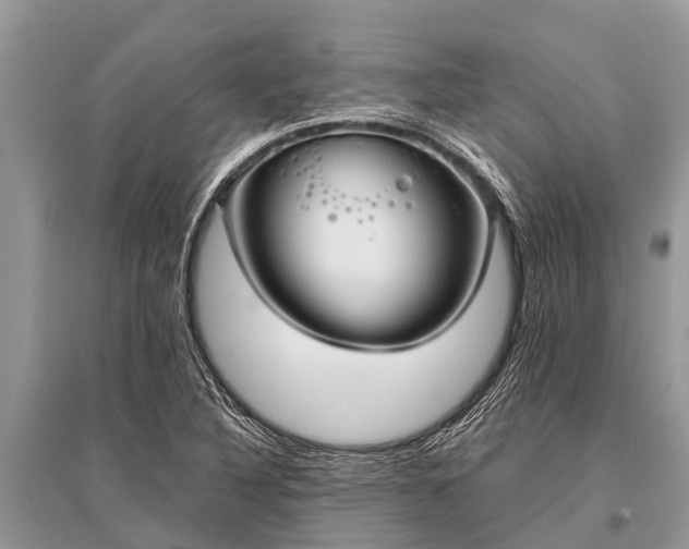 X0000096141316200801251031