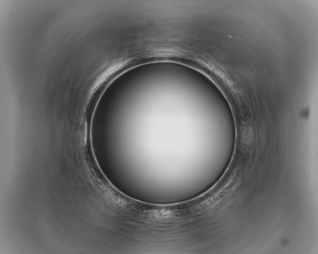 X0000096141317200801251031
