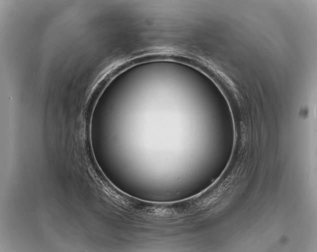 X0000096141318200801251032