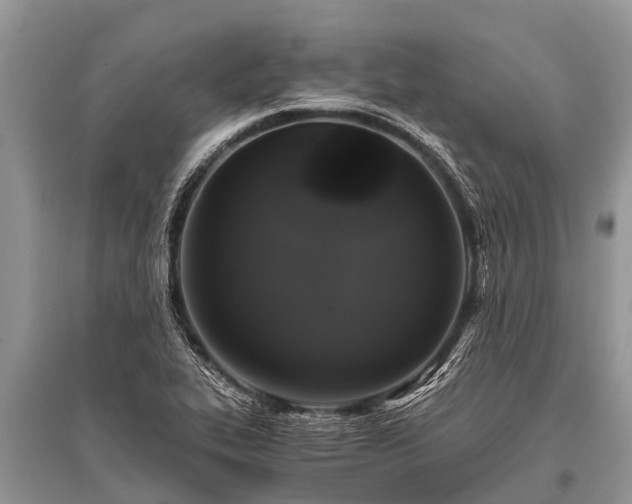 X0000096141319200801251032