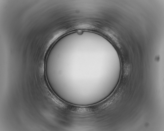 X0000096141322200801251032