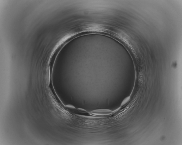 X0000096141323200801251032