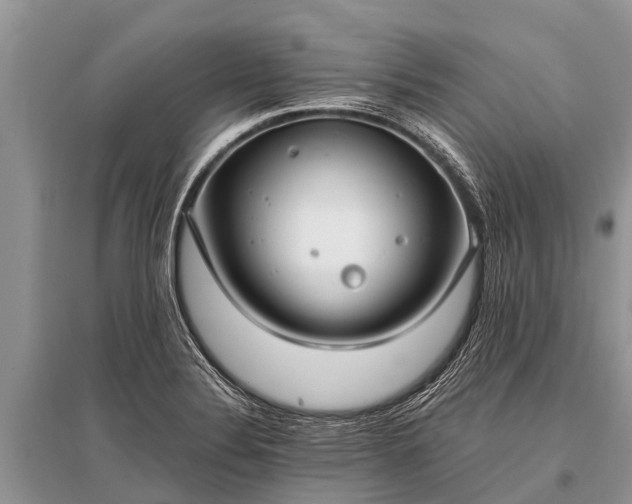 X0000096141324200801251032