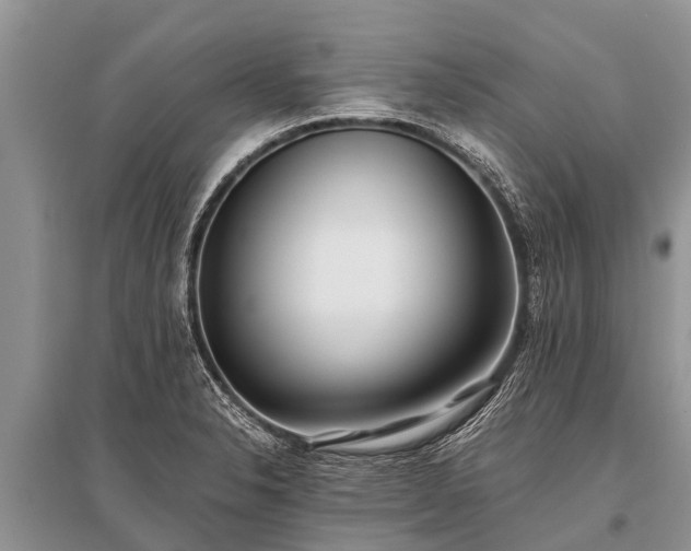 X0000096141326200801251032