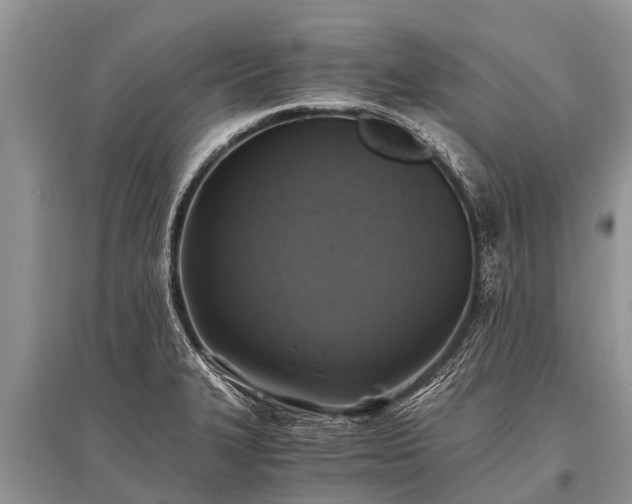 X0000096141327200801251032