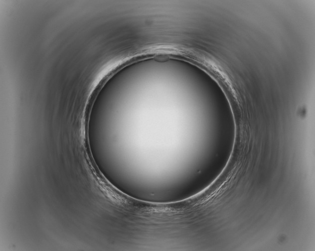 X0000096141328200801251032