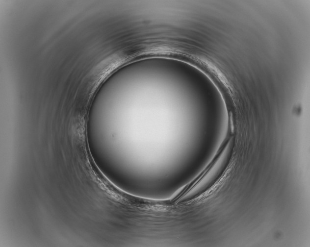 X0000096141329200801251032