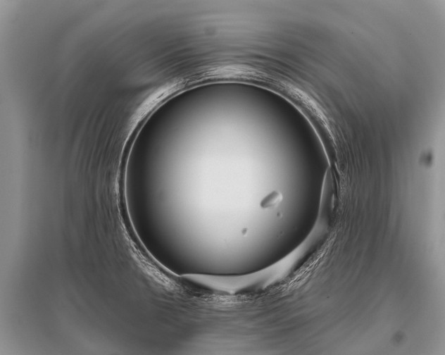 X0000096141330200801251032