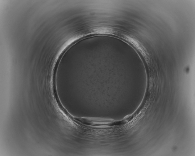 X0000096141331200801251032