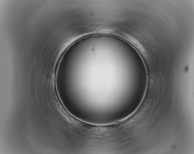 X0000096141332200801251032
