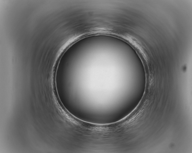 X0000096141333200801251032