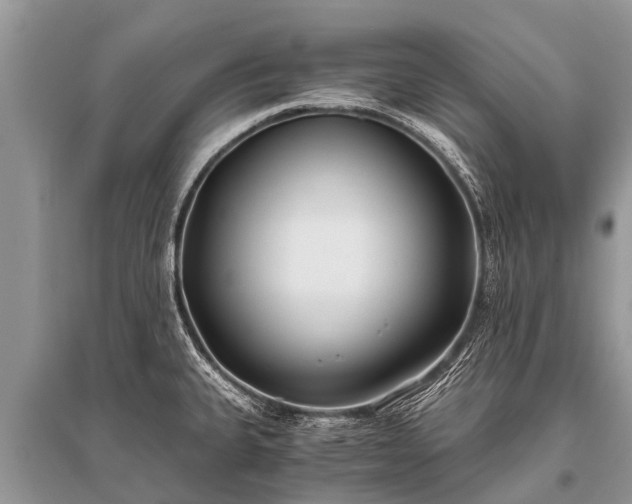 X0000096141335200801251032