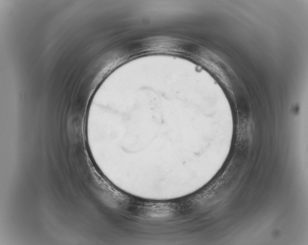 X0000096141338200801251032