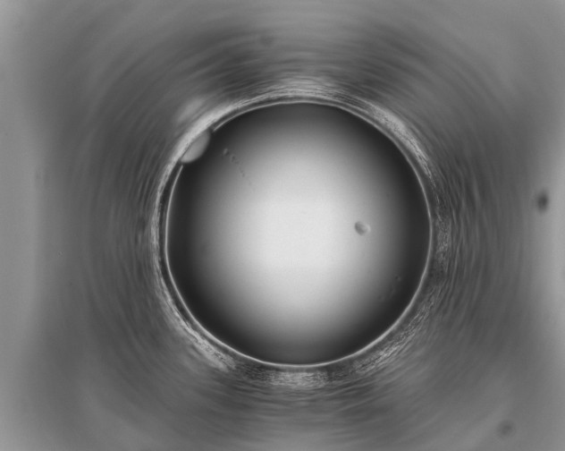 X0000096141339200801251032