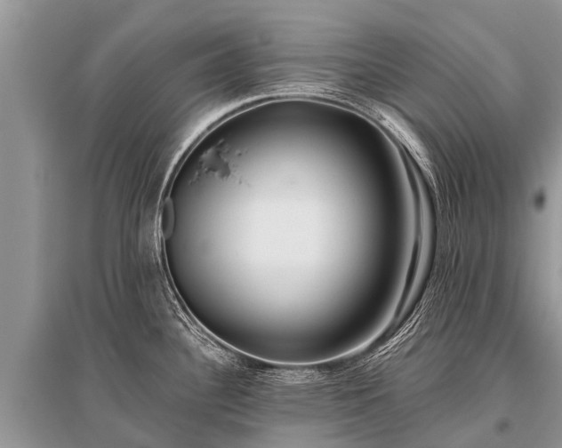 X0000096141340200801251032