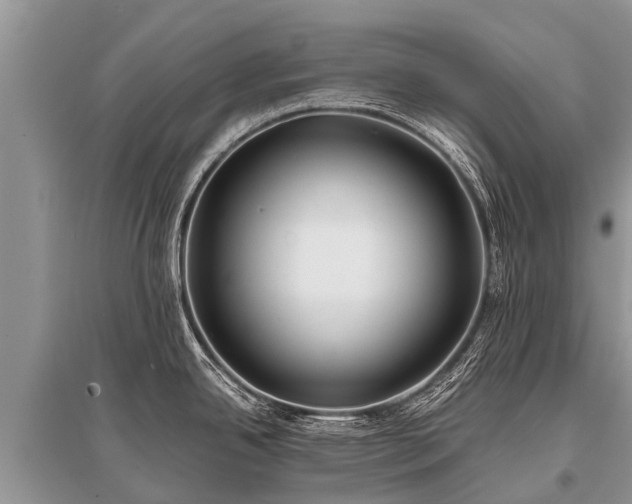 X0000096141342200801251032