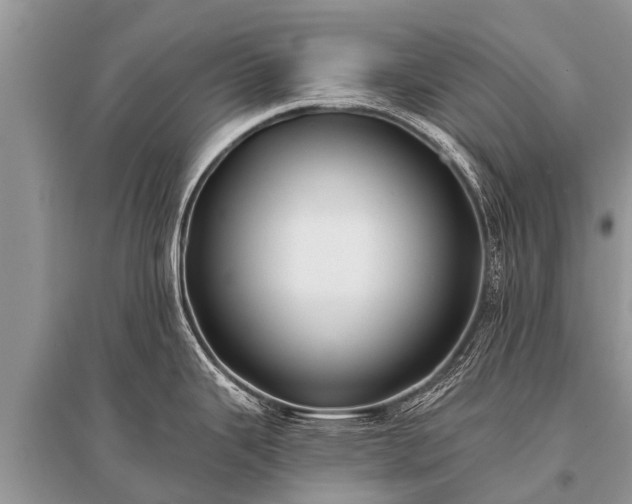 X0000096141343200801251032