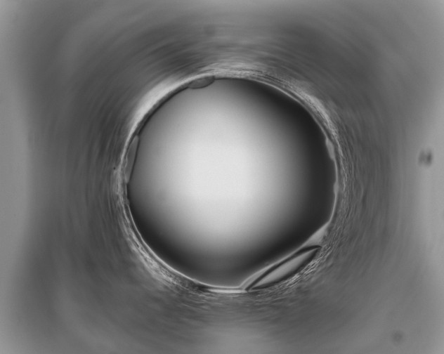 X0000096141344200801251032