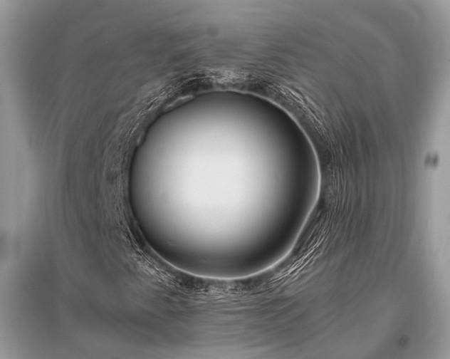 X0000096141345200801251031