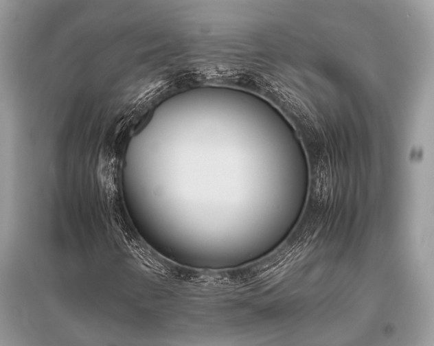 X0000096141346200801251031