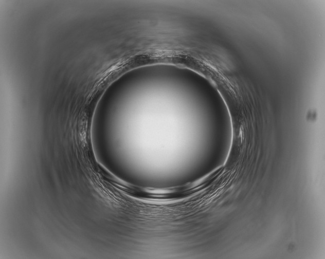 X0000096141348200801251031