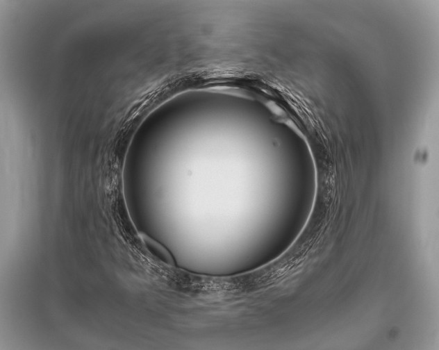 X0000096141349200801251031
