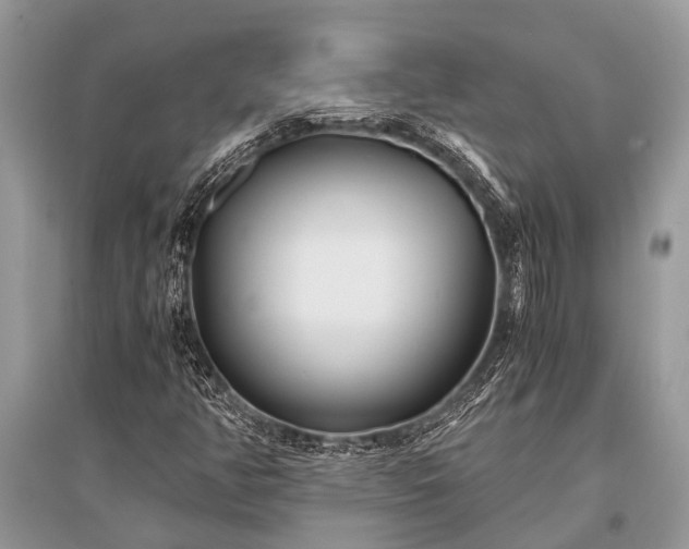 X0000096141350200801251031