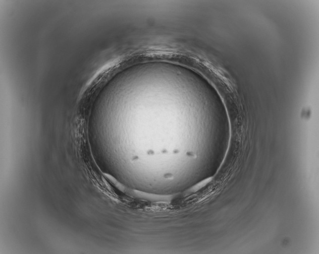 X0000096141351200801251031