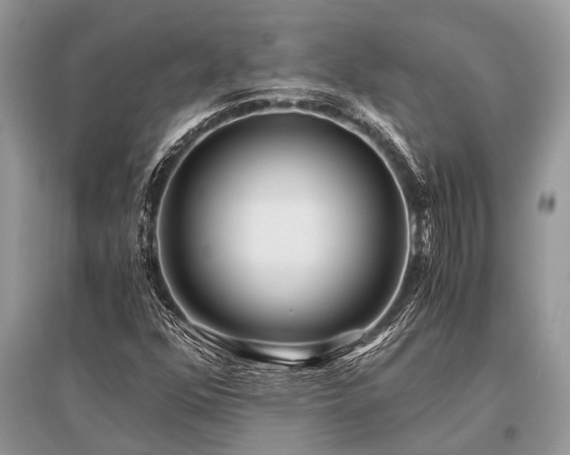 X0000096141352200801251031
