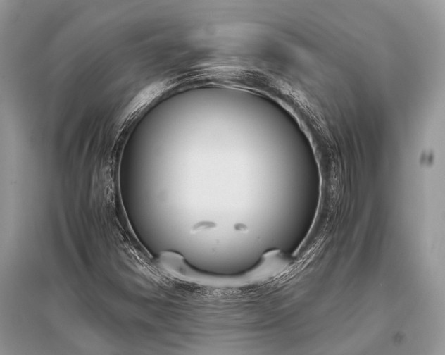 X0000096141354200801251031