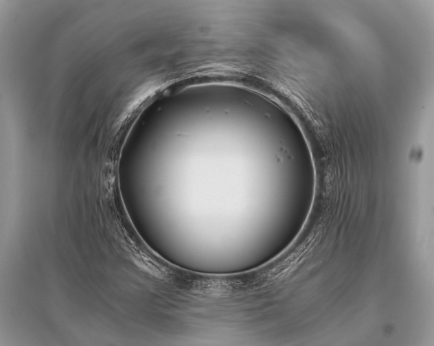 X0000096141355200801251031