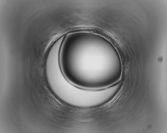 X0000096141357200801251031
