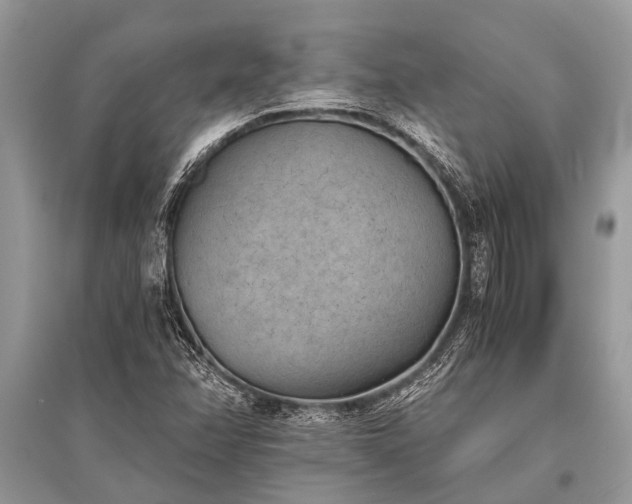 X0000096141358200801251031